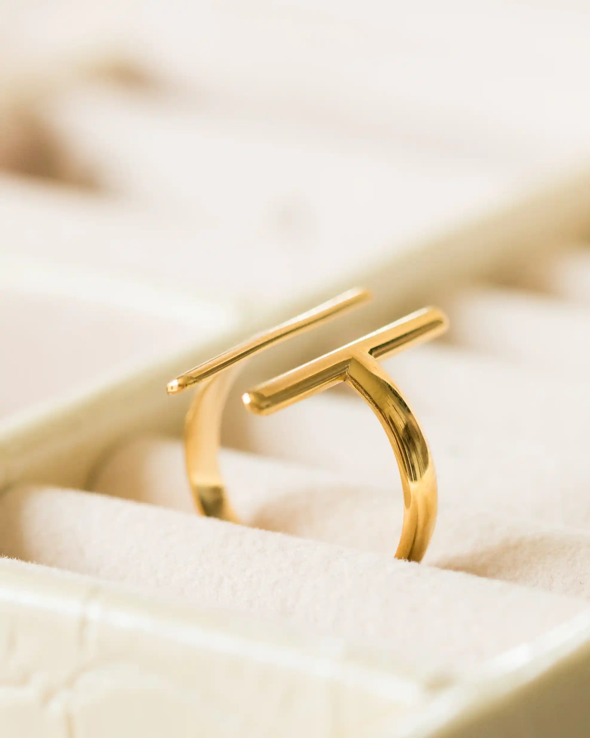 18K gold plated double bar ring in jewellery box — HYFN